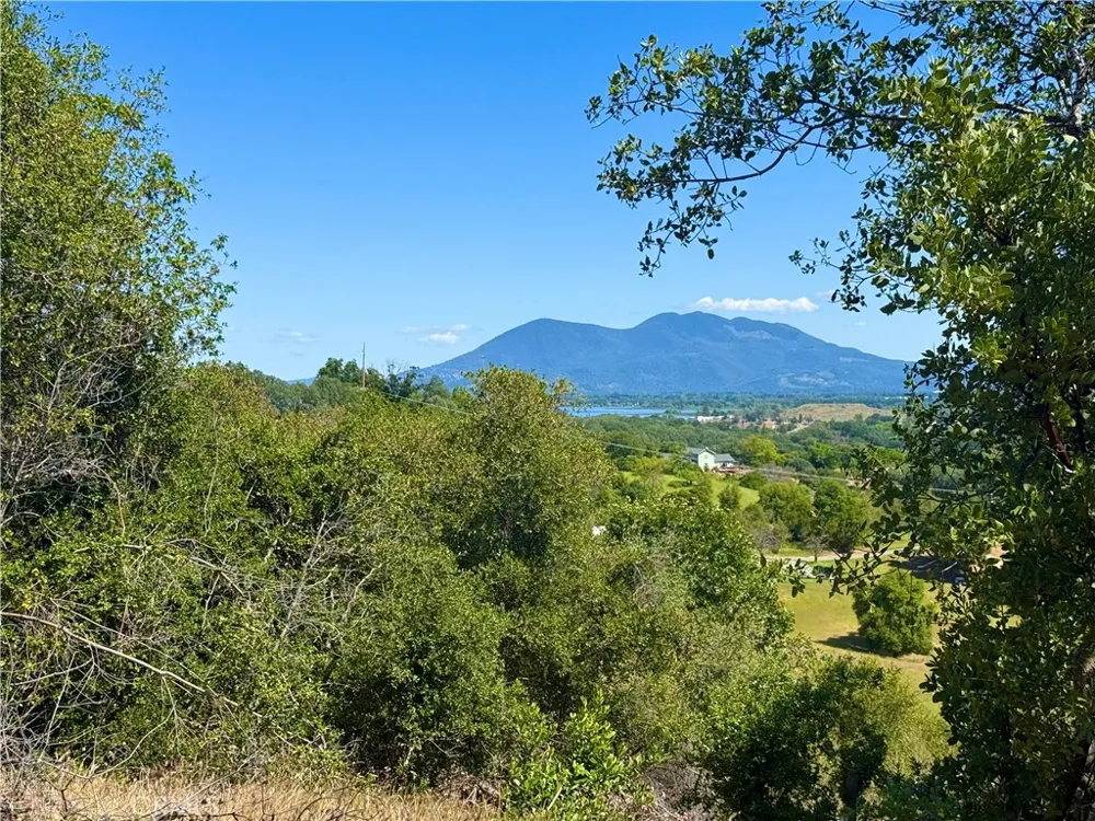 1985 Bastian Court Lakeport, CA 95453
