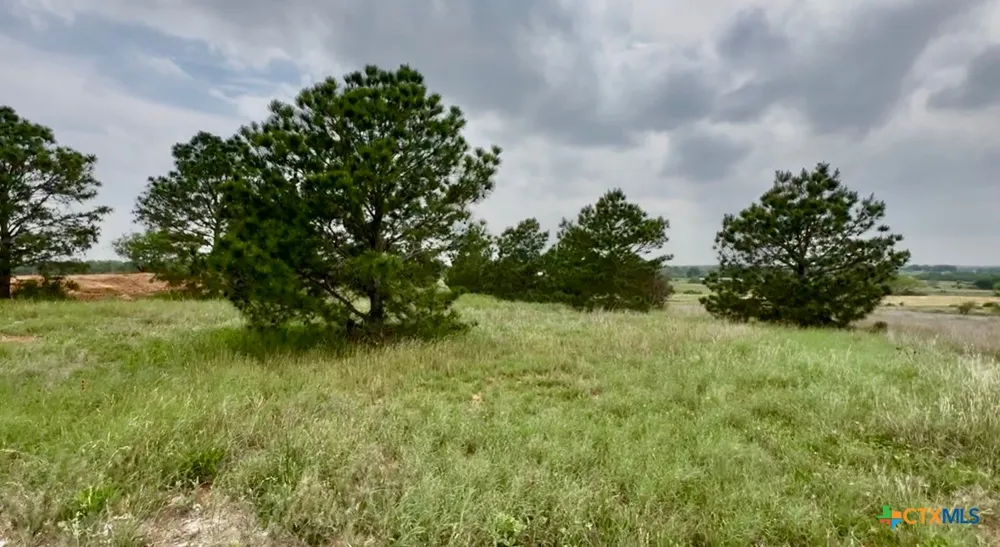 180 Santa Gertrudis Dr Sutherland Springs, TX 78161