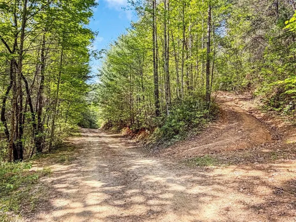 80 ACR Valley Lake Road Mineral Bluff, GA 30559