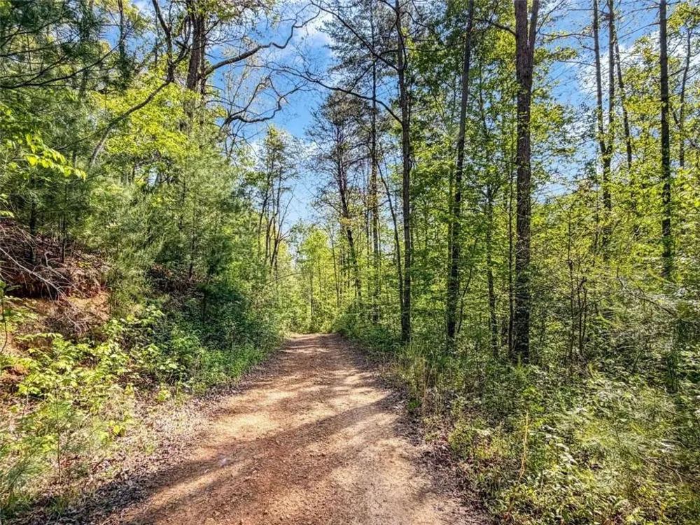 80 ACR Valley Lake Road Mineral Bluff, GA 30559