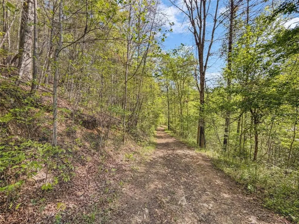 80 ACR Valley Lake Road Mineral Bluff, GA 30559