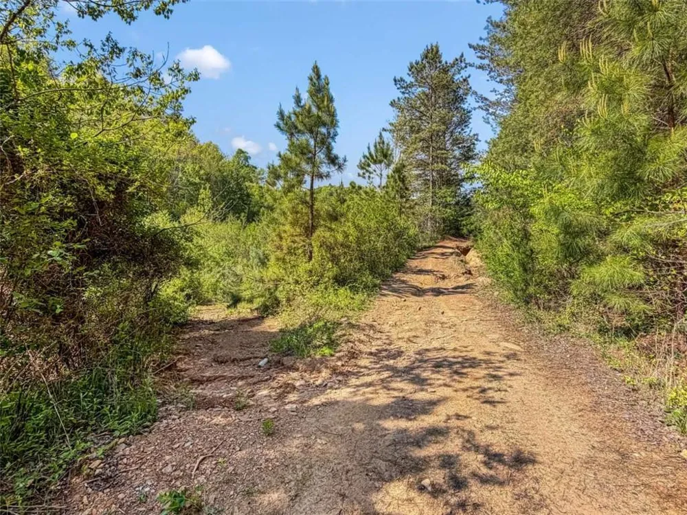 80 ACR Valley Lake Road Mineral Bluff, GA 30559