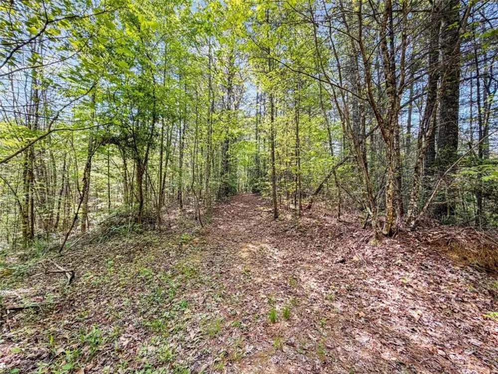 80 ACR Valley Lake Road Mineral Bluff, GA 30559