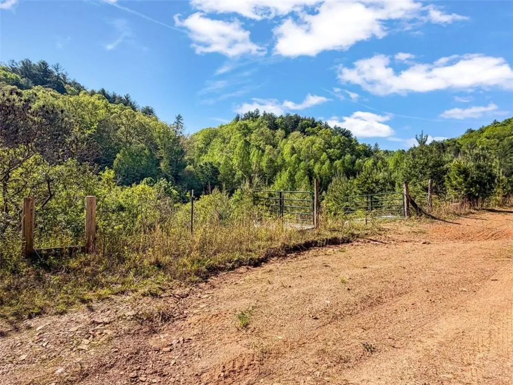 80 ACR Valley Lake Road Mineral Bluff, GA 30559