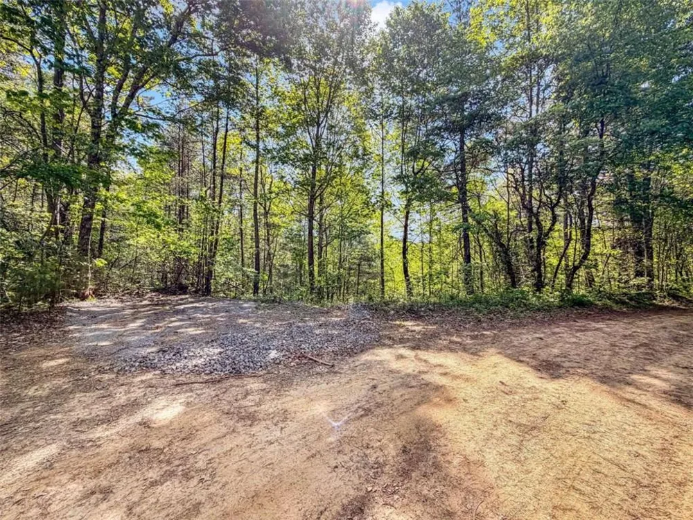 80 ACR Valley Lake Road Mineral Bluff, GA 30559