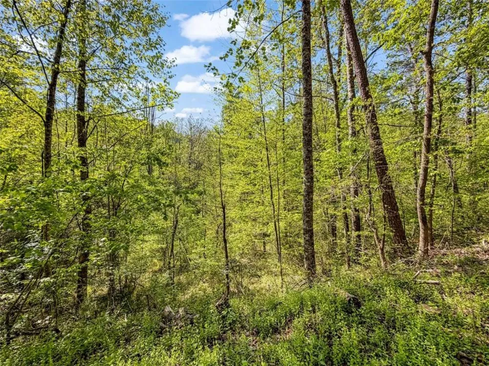 80 ACR Valley Lake Road Mineral Bluff, GA 30559
