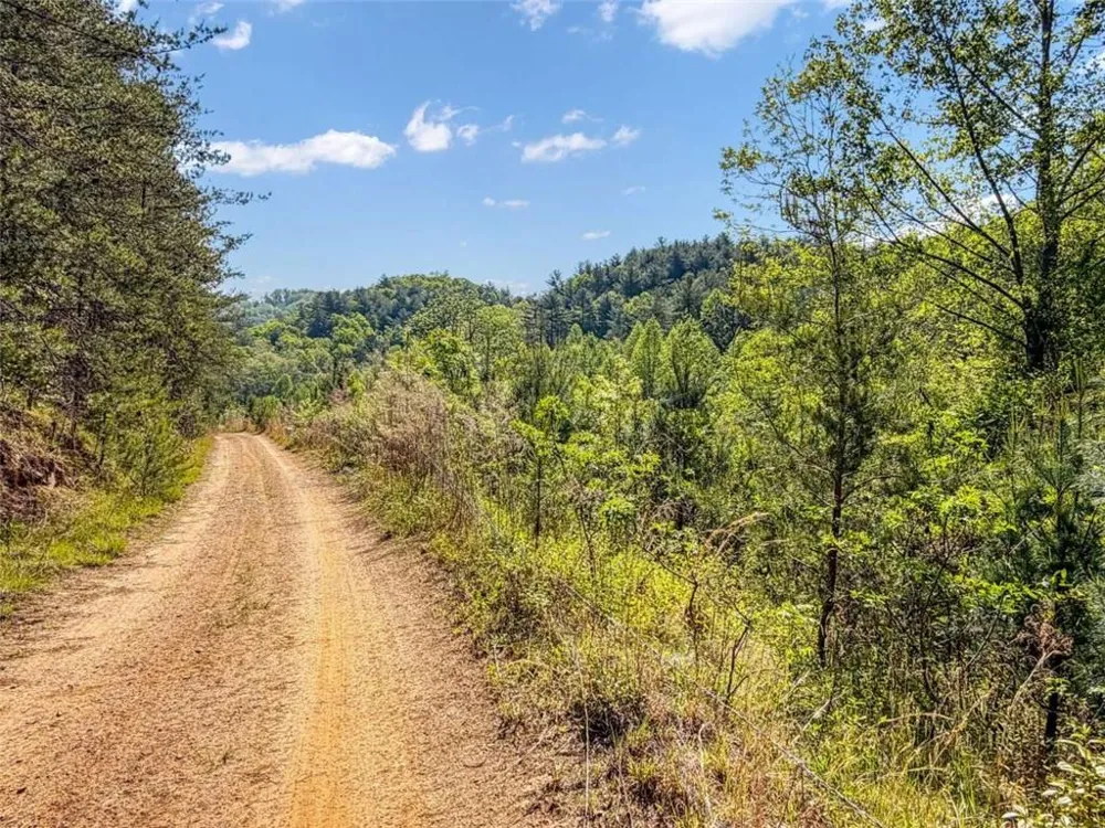 80 ACR Valley Lake Road Mineral Bluff, GA 30559