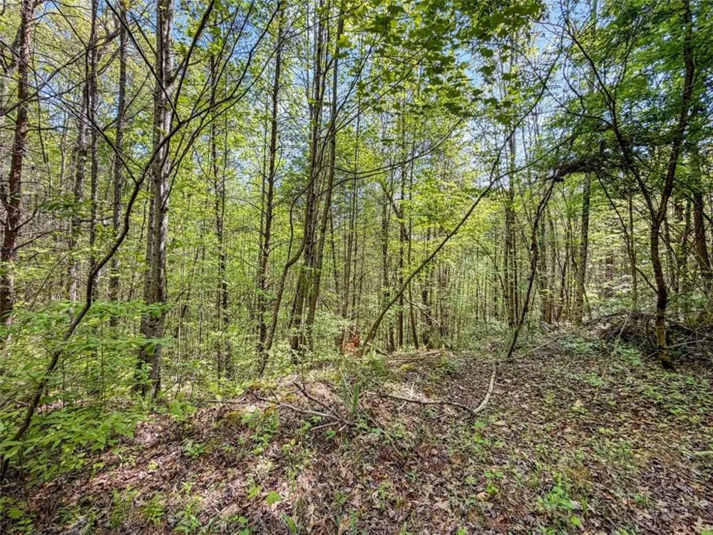 80 ACR Valley Lake Road Mineral Bluff, GA 30559