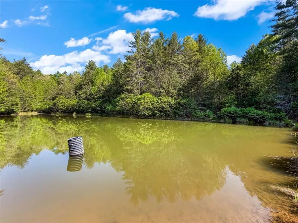 80 ACR Valley Lake Road Mineral Bluff, GA 30559