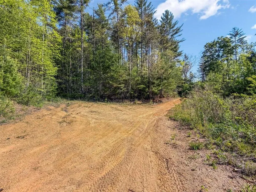 80 ACR Valley Lake Road Mineral Bluff, GA 30559