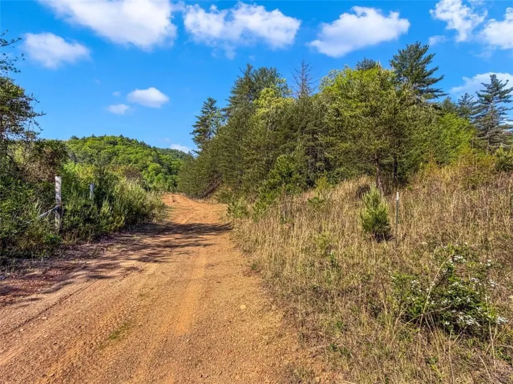 80 ACR Valley Lake Road Mineral Bluff, GA 30559