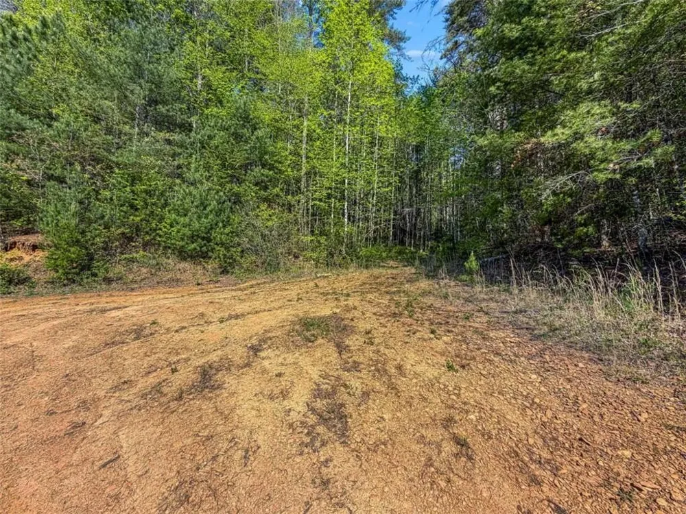 80 ACR Valley Lake Road Mineral Bluff, GA 30559