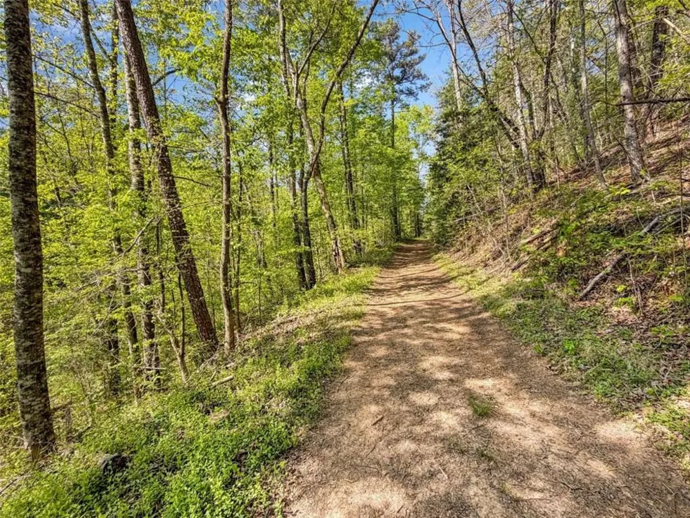 80 ACR Valley Lake Road Mineral Bluff, GA 30559