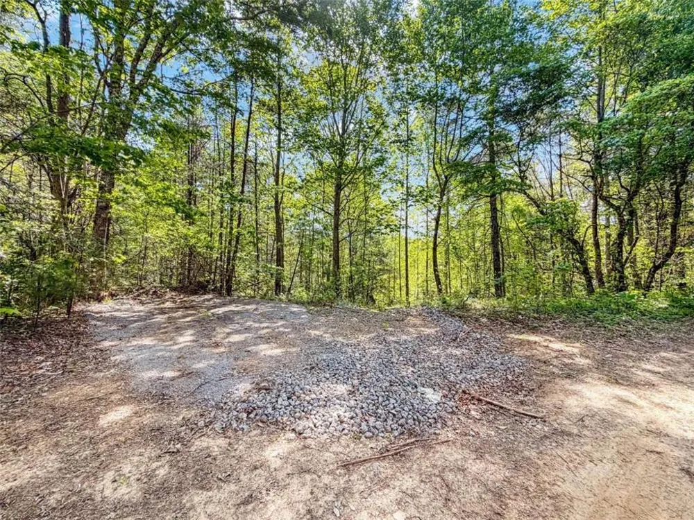 80 ACR Valley Lake Road Mineral Bluff, GA 30559