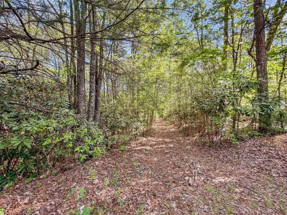 80 ACR Valley Lake Road Mineral Bluff, GA 30559