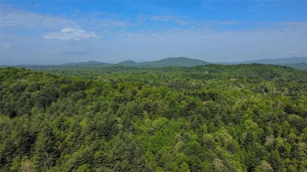 80 ACR Valley Lake Road Mineral Bluff, GA 30559