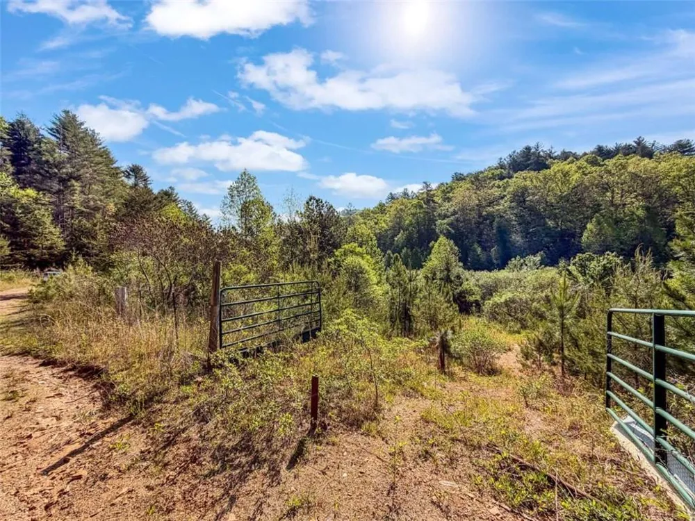 80 ACR Valley Lake Road Mineral Bluff, GA 30559