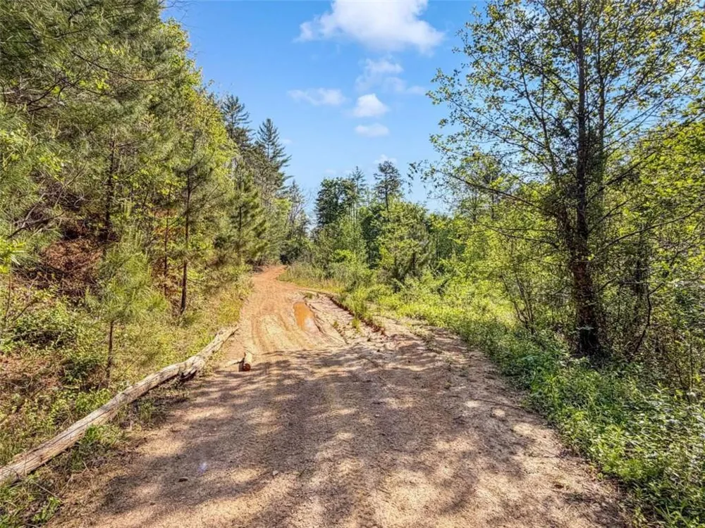 80 ACR Valley Lake Road Mineral Bluff, GA 30559