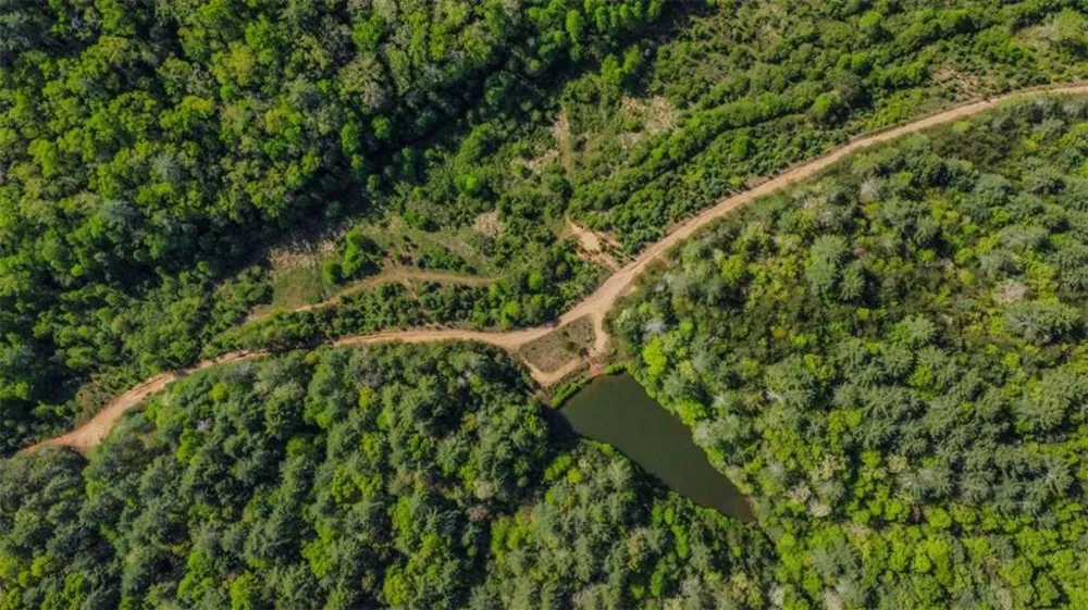 80 ACR Valley Lake Road Mineral Bluff, GA 30559