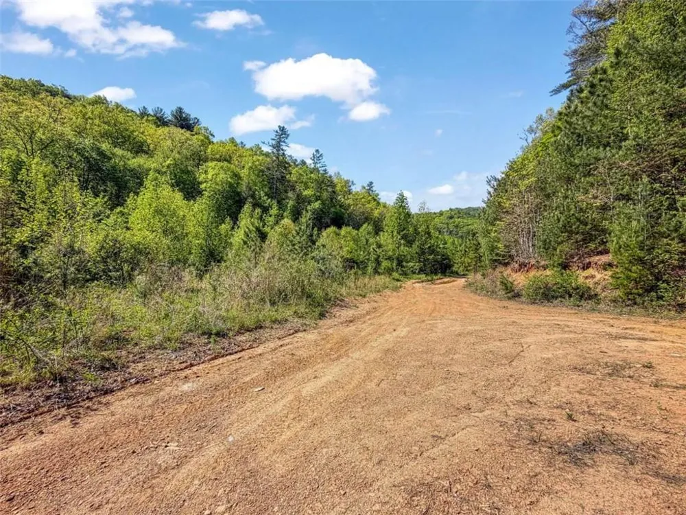 80 ACR Valley Lake Road Mineral Bluff, GA 30559