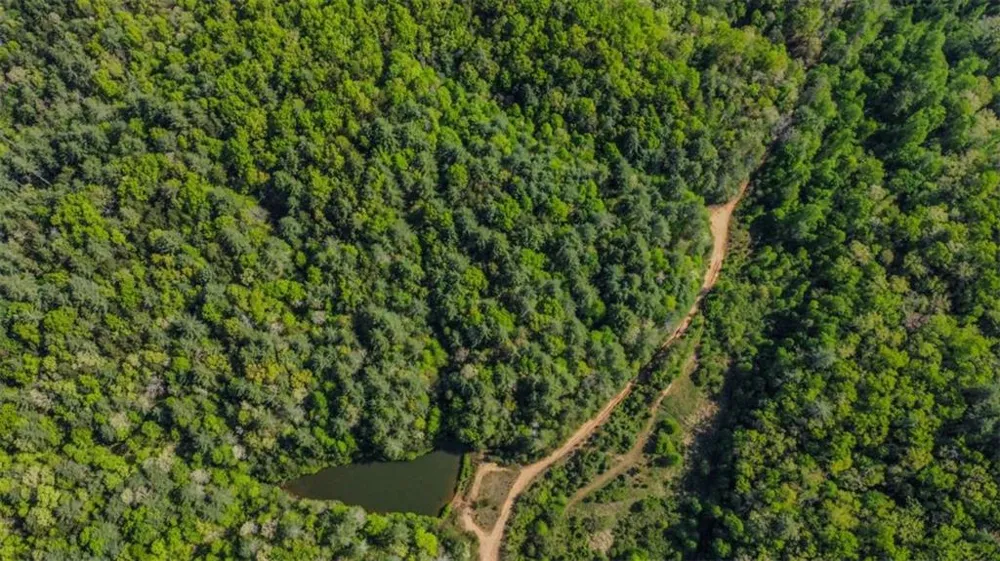 80 ACR Valley Lake Road Mineral Bluff, GA 30559