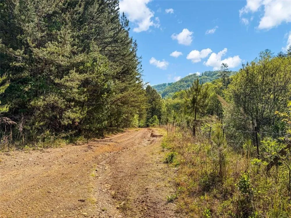 80 ACR Valley Lake Road Mineral Bluff, GA 30559