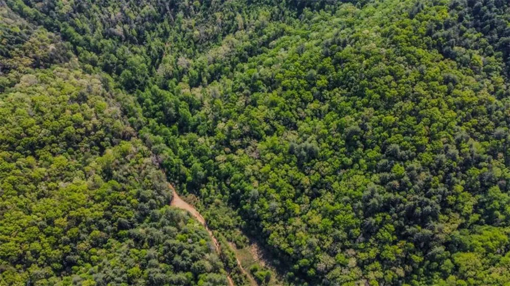 80 ACR Valley Lake Road Mineral Bluff, GA 30559