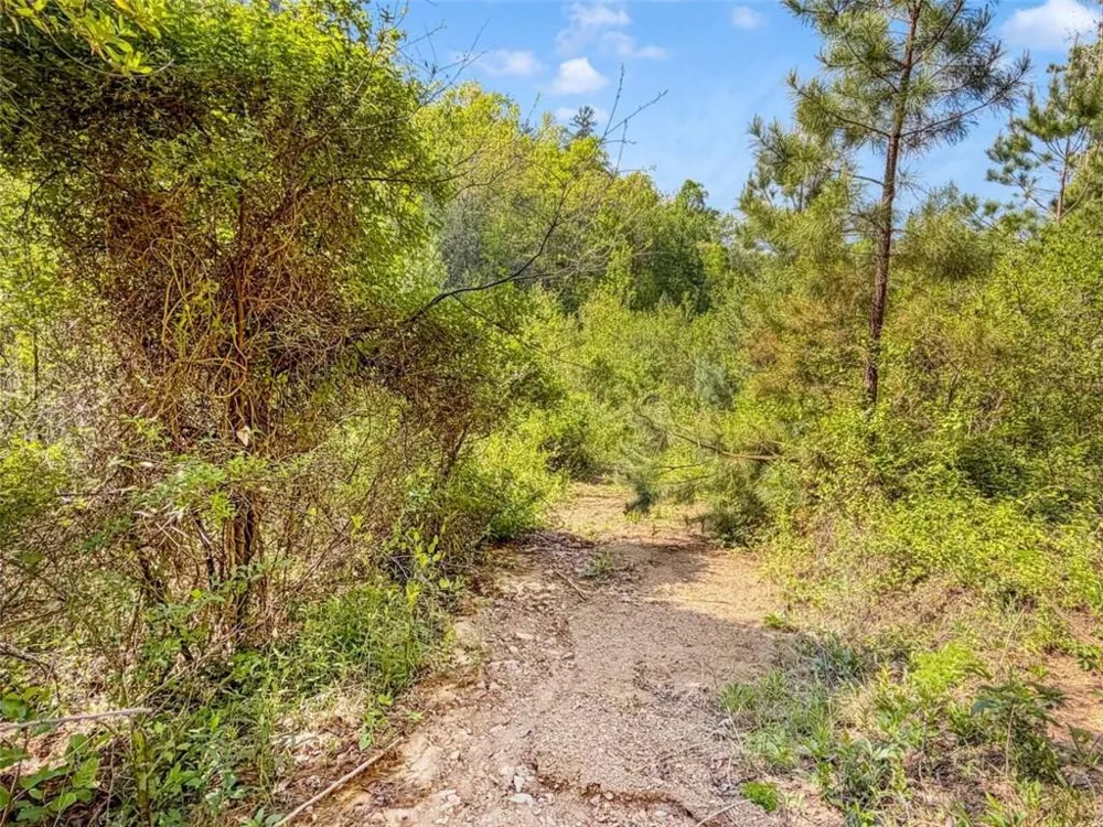 80 ACR Valley Lake Road Mineral Bluff, GA 30559