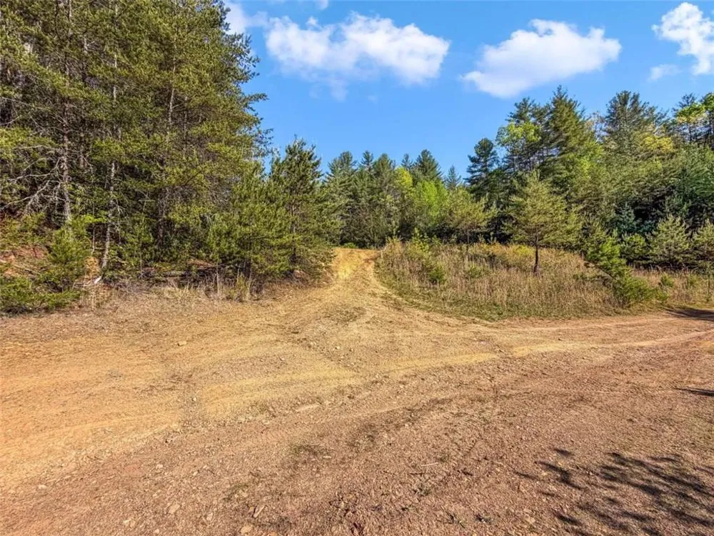 80 ACR Valley Lake Road Mineral Bluff, GA 30559