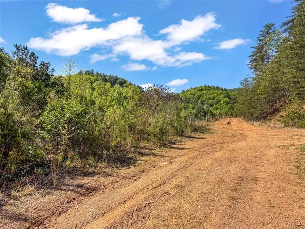 80 ACR Valley Lake Road Mineral Bluff, GA 30559