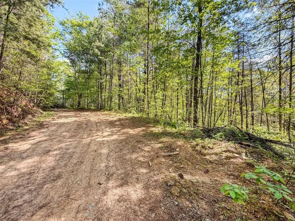 80 ACR Valley Lake Road Mineral Bluff, GA 30559