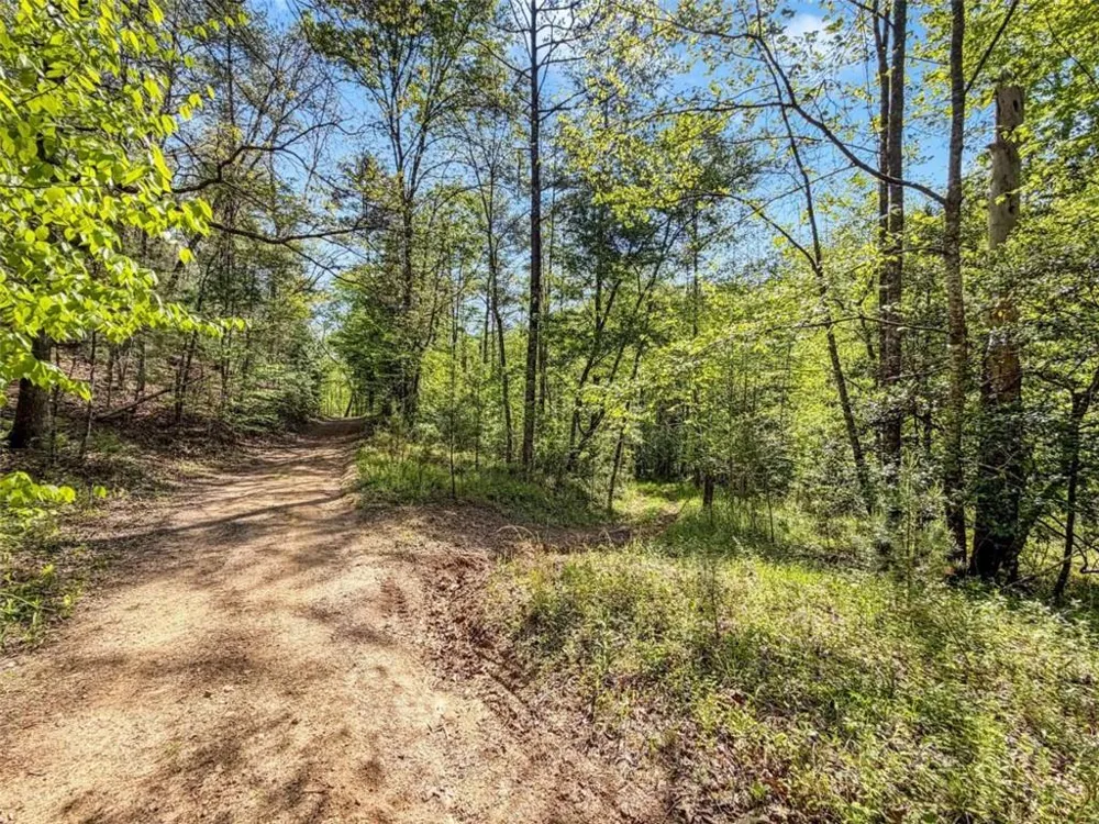 80 ACR Valley Lake Road Mineral Bluff, GA 30559