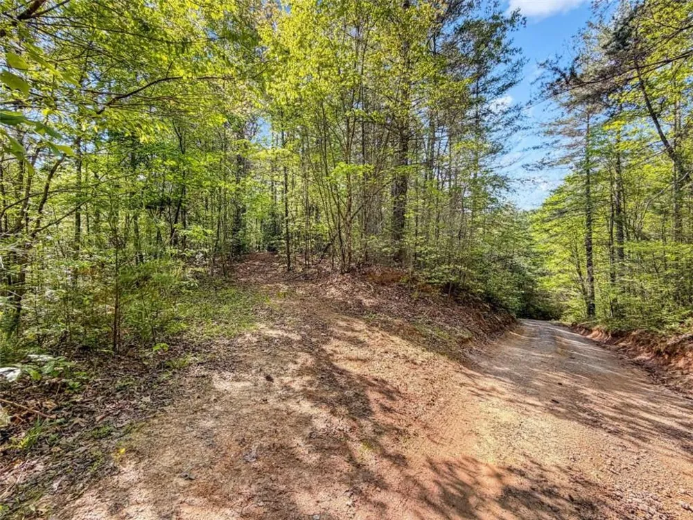 80 ACR Valley Lake Road Mineral Bluff, GA 30559