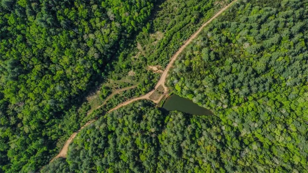 80 ACR Valley Lake Road Mineral Bluff, GA 30559