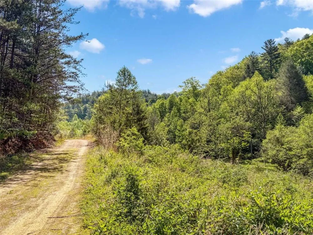 80 ACR Valley Lake Road Mineral Bluff, GA 30559