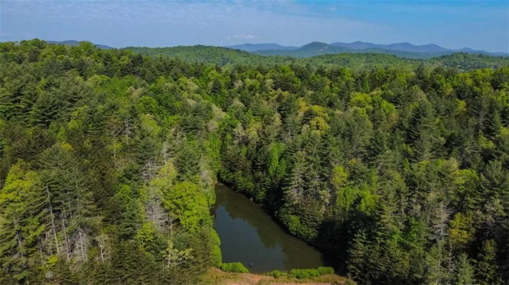 80 ACR Valley Lake Road Mineral Bluff, GA 30559