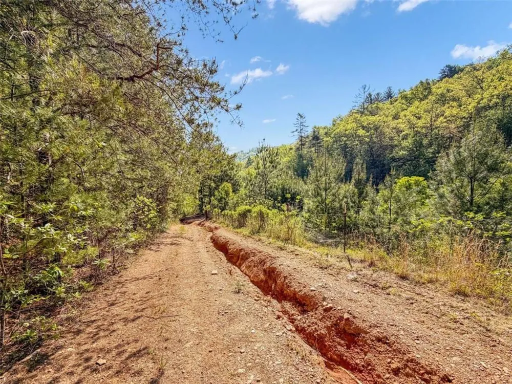 80 ACR Valley Lake Road Mineral Bluff, GA 30559