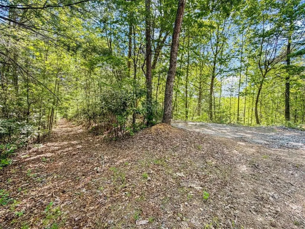 80 ACR Valley Lake Road Mineral Bluff, GA 30559
