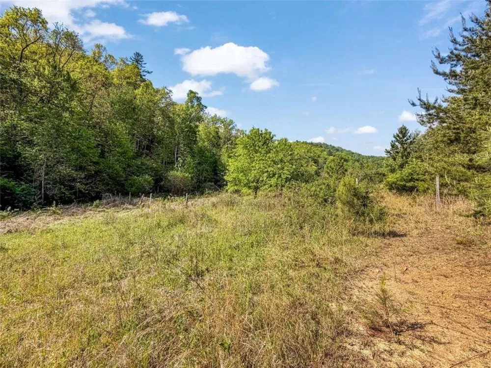 80 ACR Valley Lake Road Mineral Bluff, GA 30559