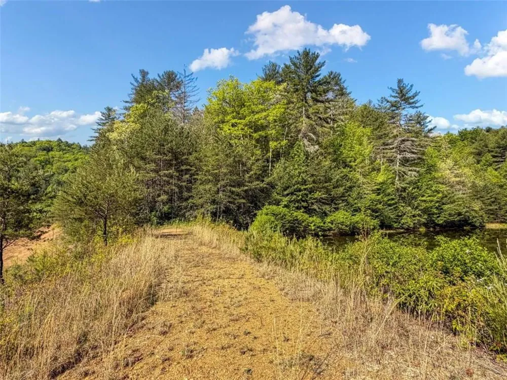 80 ACR Valley Lake Road Mineral Bluff, GA 30559