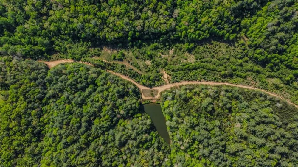 80 ACR Valley Lake Road Mineral Bluff, GA 30559
