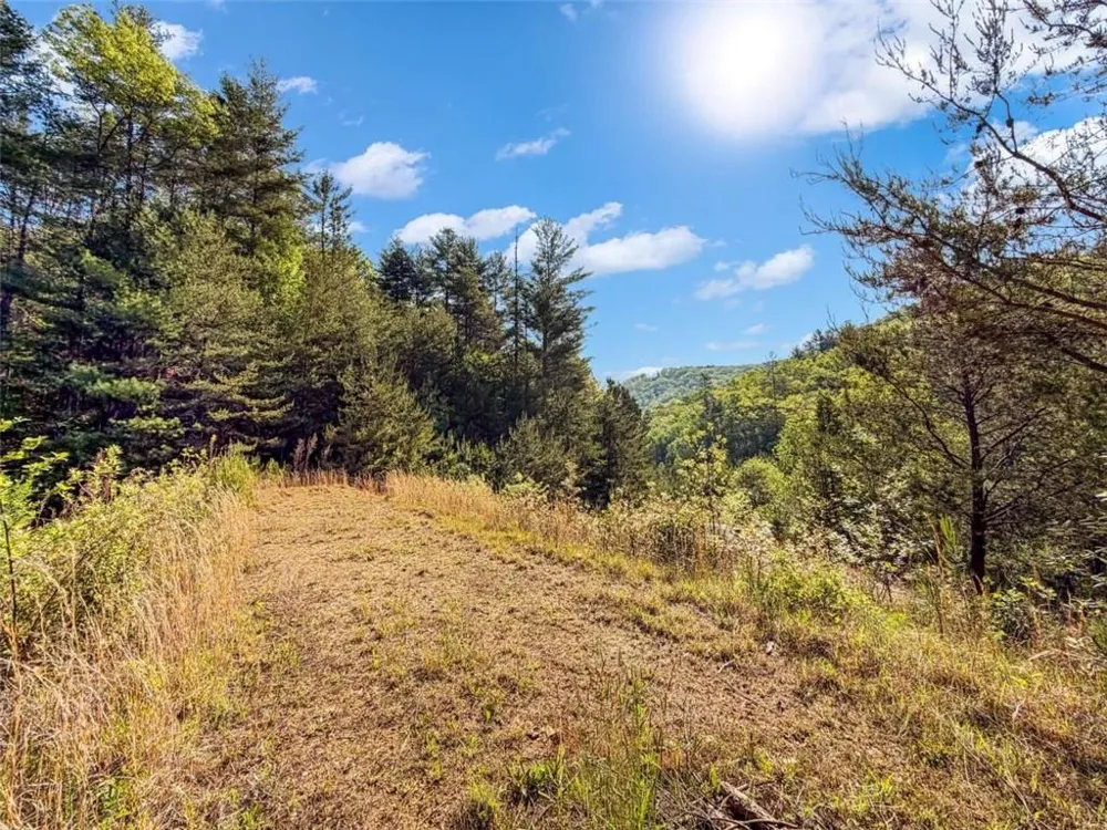 80 ACR Valley Lake Road Mineral Bluff, GA 30559