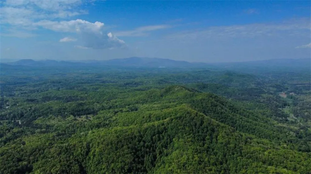 80 ACR Valley Lake Road Mineral Bluff, GA 30559