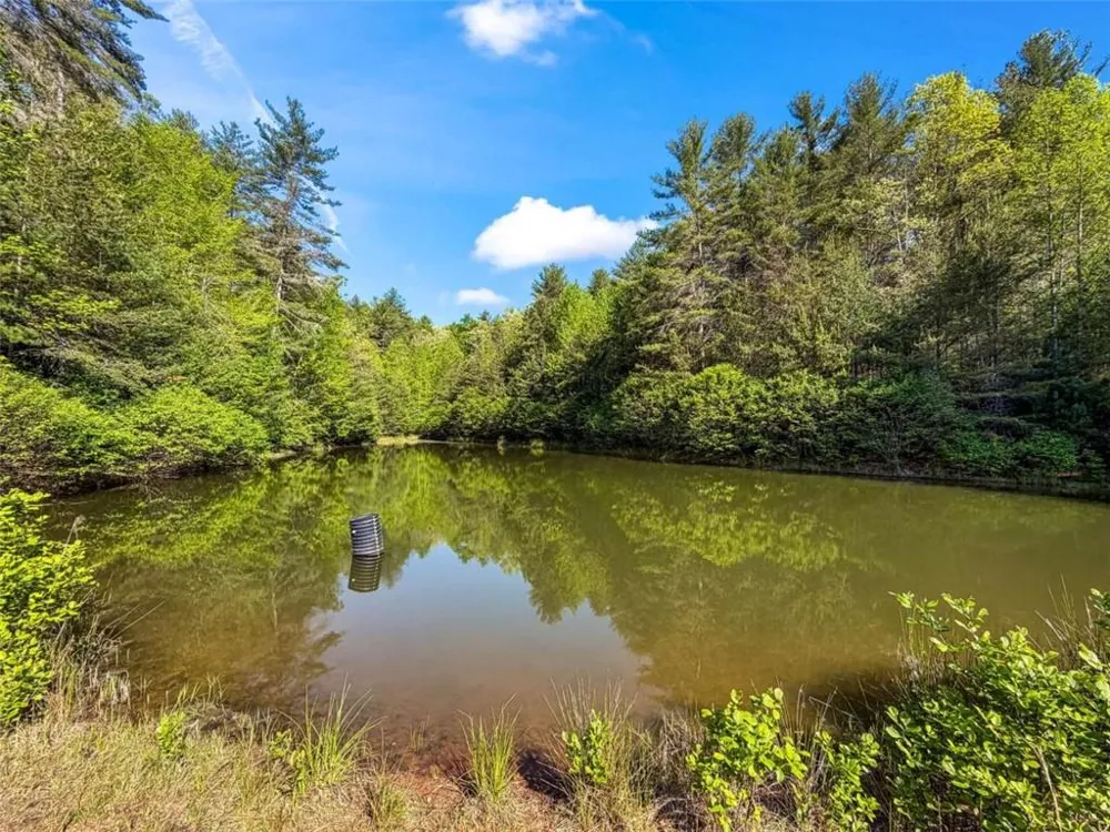 80 ACR Valley Lake Road Mineral Bluff, GA 30559