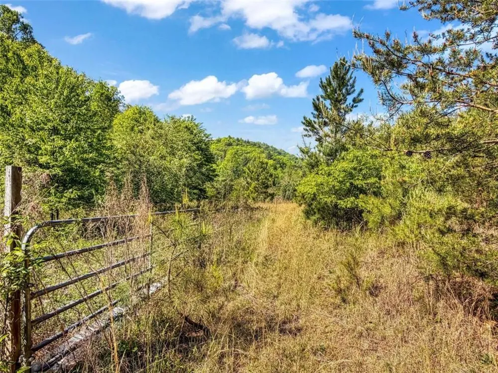 80 ACR Valley Lake Road Mineral Bluff, GA 30559