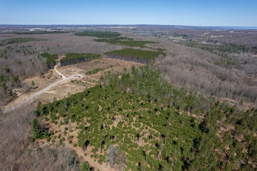 Hoosier Valley Road Blair Township, MI 49685