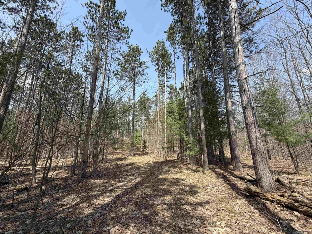 Hoosier Valley Road Blair Township, MI 49685