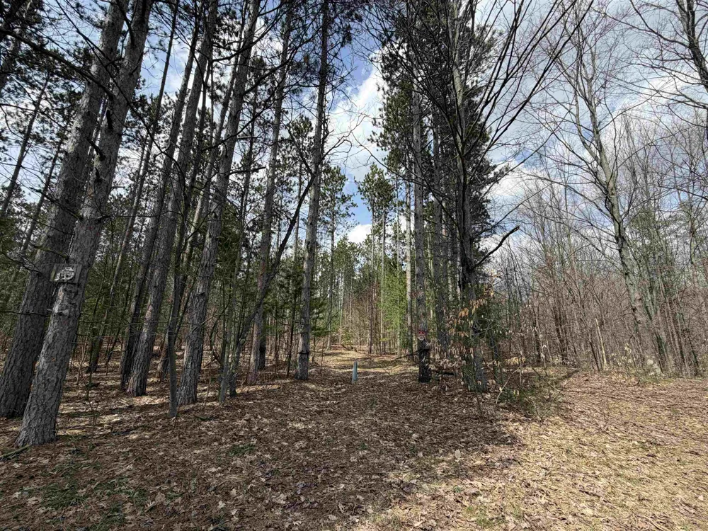 Hoosier Valley Road Blair Township, MI 49685