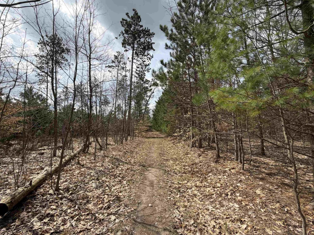 Hoosier Valley Road Blair Township, MI 49685