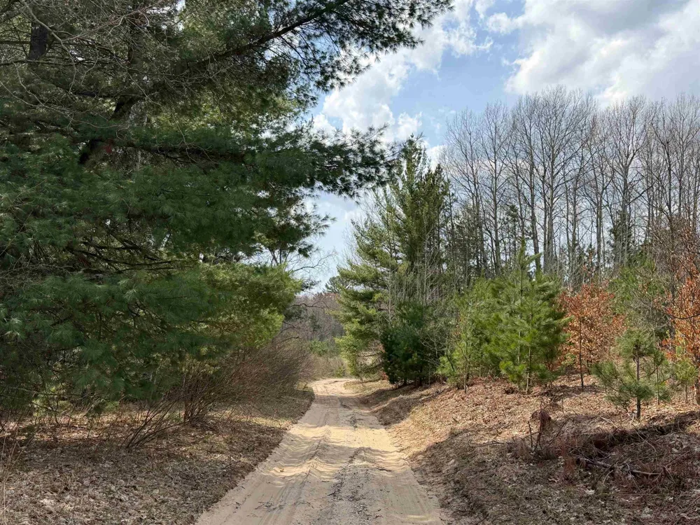Hoosier Valley Road Blair Township, MI 49685